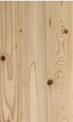 madera-e1634535461504-1